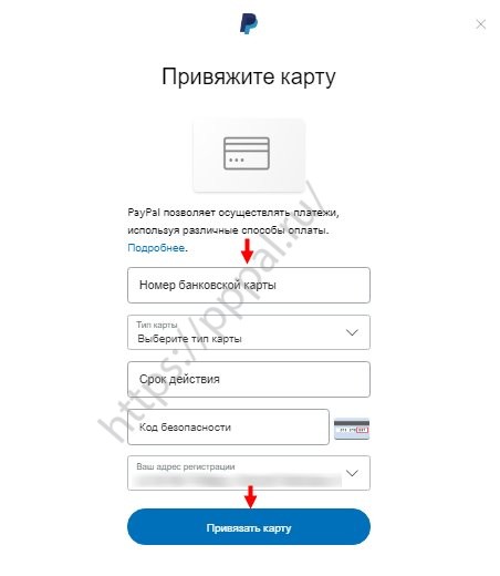 как пополнить счет пейпал с киви. Смотреть фото как пополнить счет пейпал с киви. Смотреть картинку как пополнить счет пейпал с киви. Картинка про как пополнить счет пейпал с киви. Фото как пополнить счет пейпал с киви