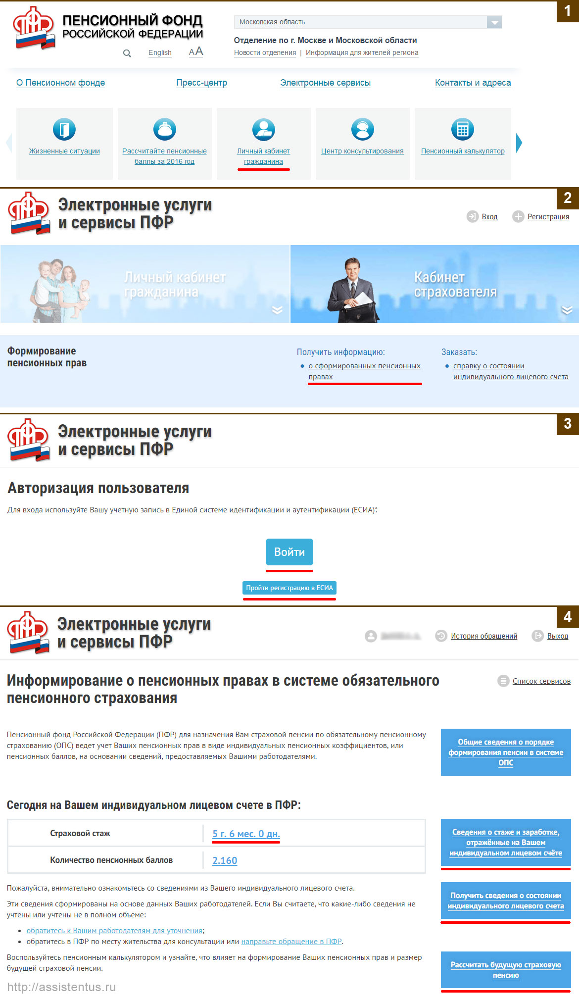 Инструкция по проверке пенсионных накоплений через сайт Пенсионного Фонда РФ