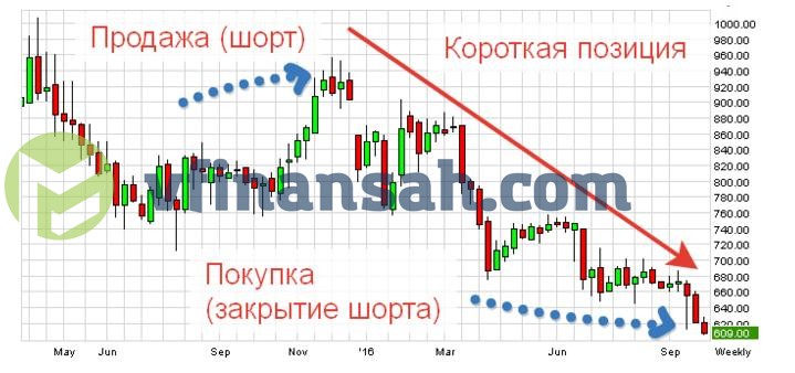 Шорт и Лонг на бирже что это. Short и long позиции на бирже. Какие варианты торговли на бирже существуют для начинающих?. Как выглядит набор позиции на бирже.