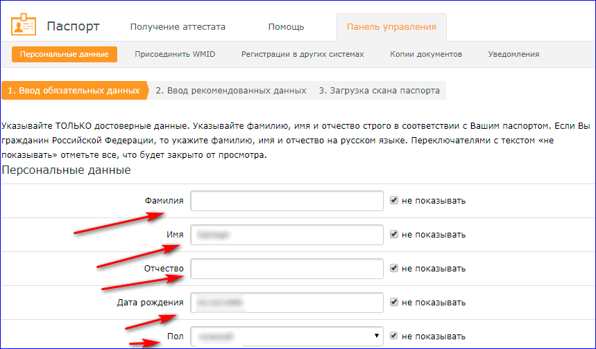 Остальными регистрация. Персональные данные паспорт. Ввод данных паспорта. Паспортные данные категория персональных данных. Ввод личных данных в паспорте.