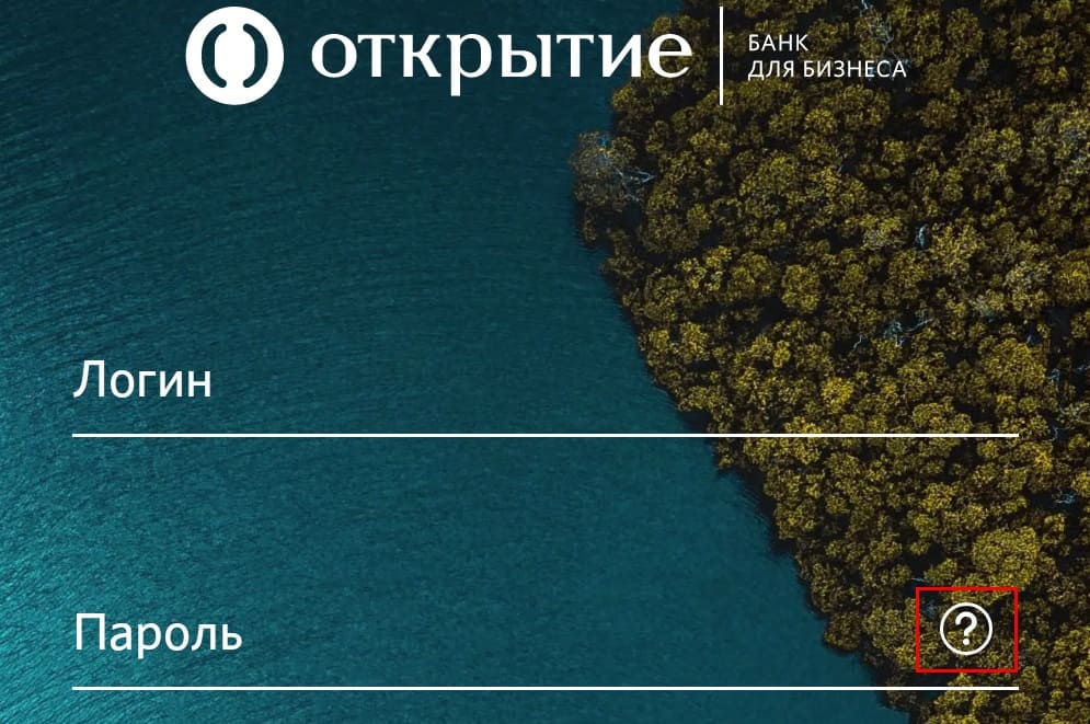 Банки открытие бизнес портал. Открытие бизнес портал. Бизнес портал банк открытие. 